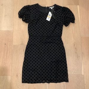 Black mini dress with black velvet polka dots